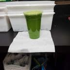 Best Green Juice in Hicksville, NY